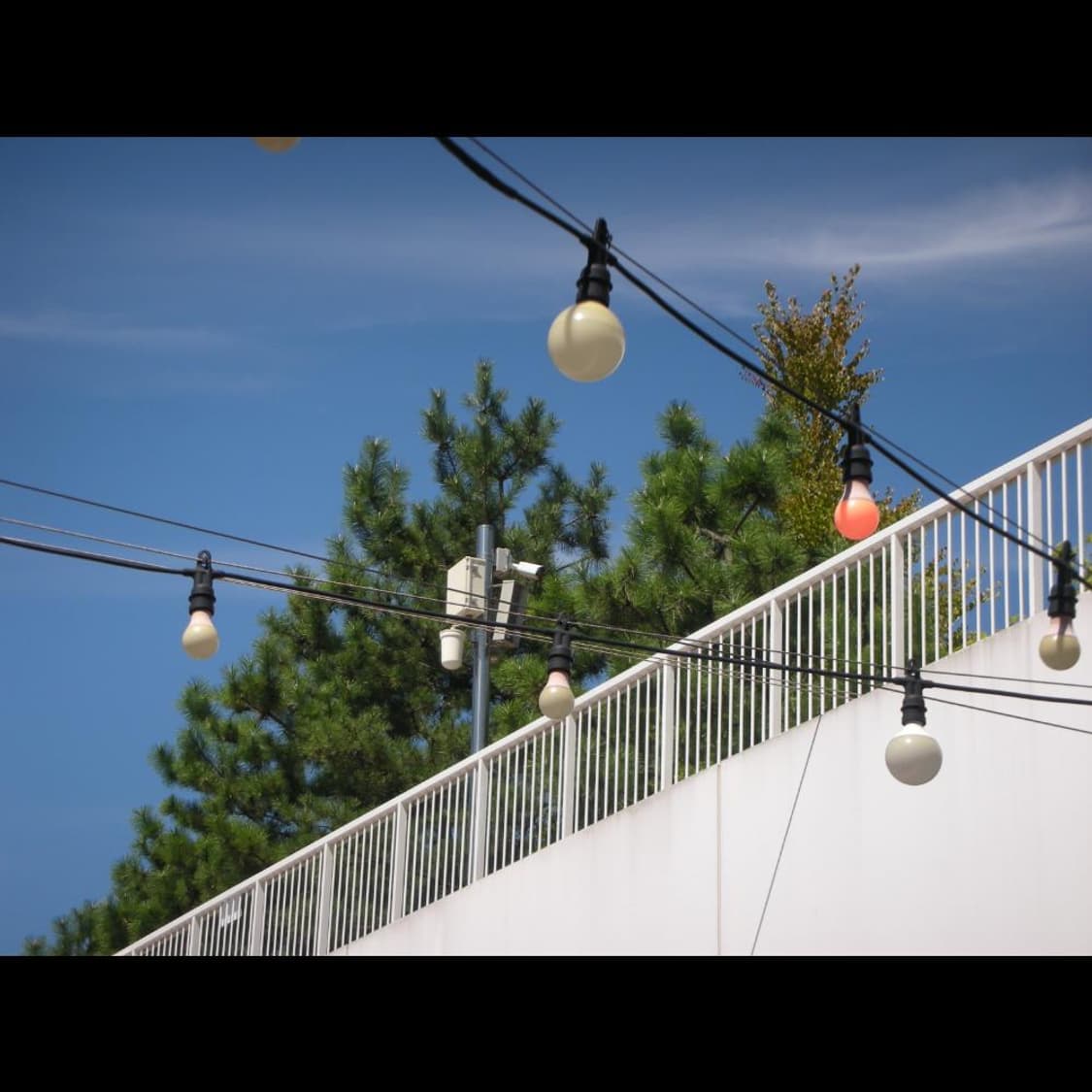 작례⭕️ 니콘 쿨픽스 S8 펄 화이트 👻노제 카메라 상품이미지3