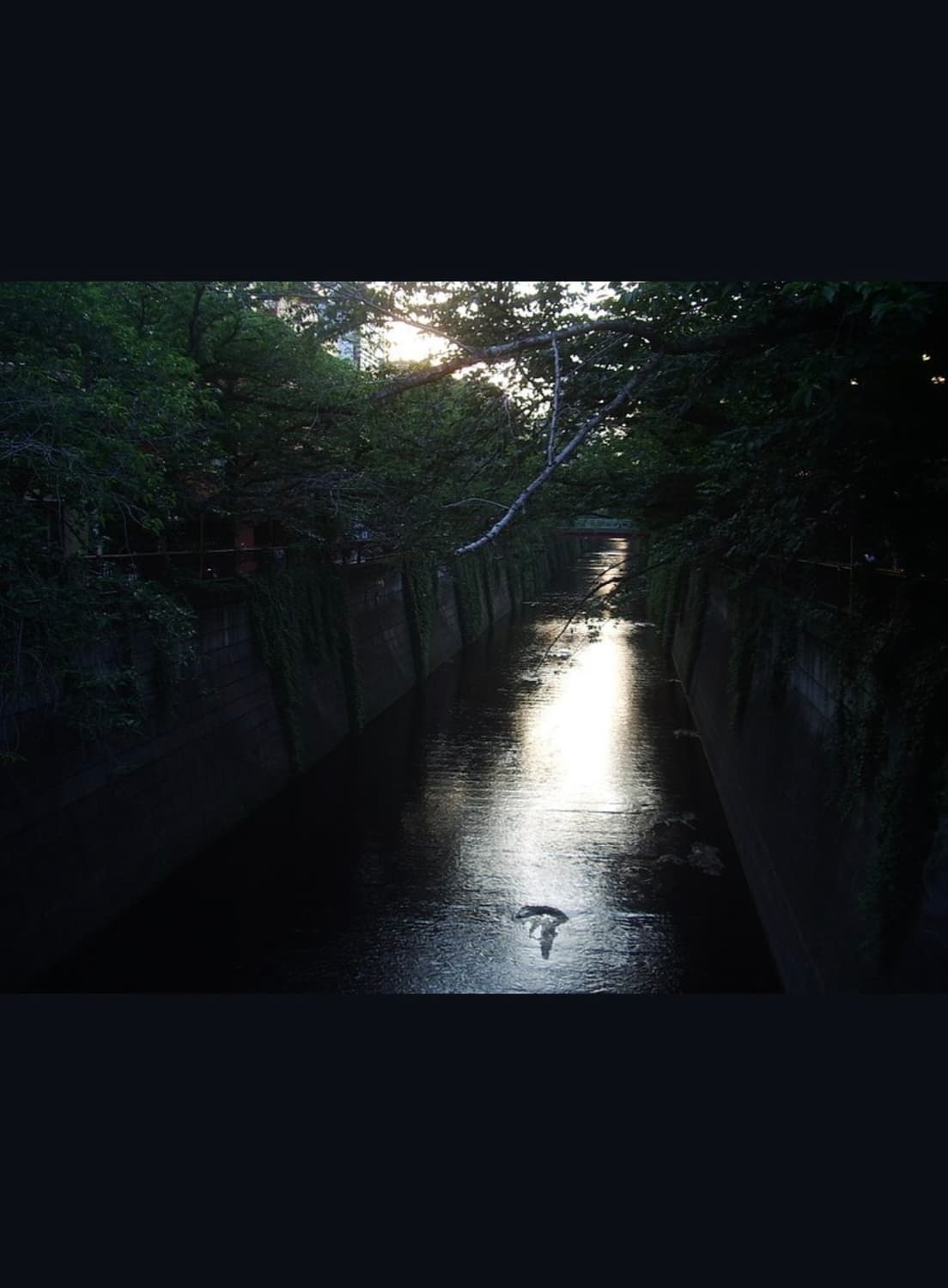 펜탁스 옵티오 s40 디지털카메라 상품이미지9