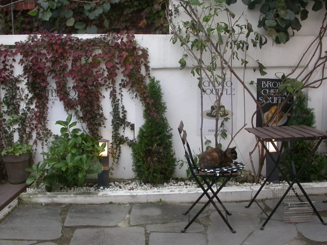 니콘 쿨픽스 4500 디카 (빈티지 카메라) 상품이미지7