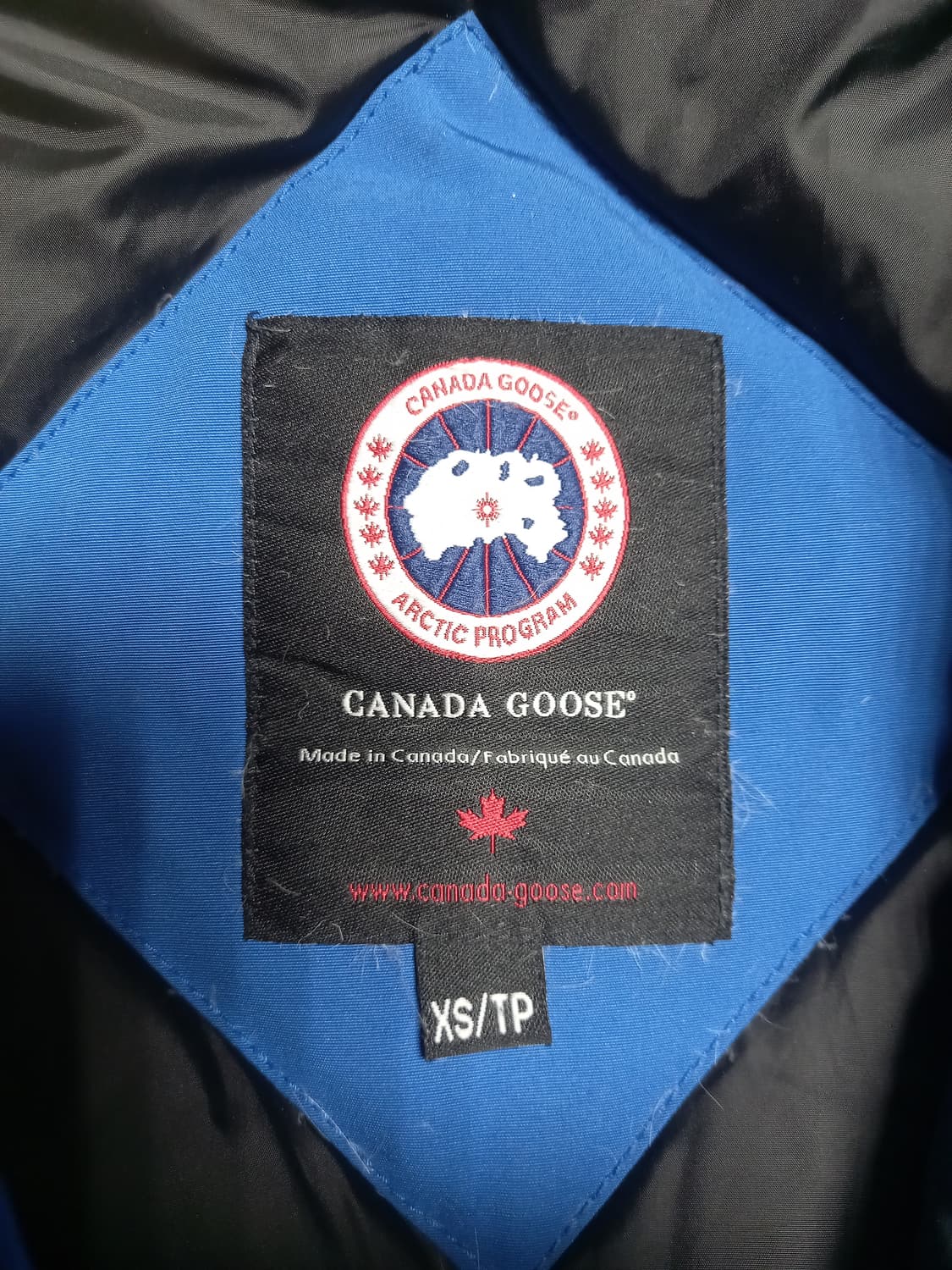 캐나다구스X디스퀘어드 PBI 패딩 xs(실용100) 상품이미지6