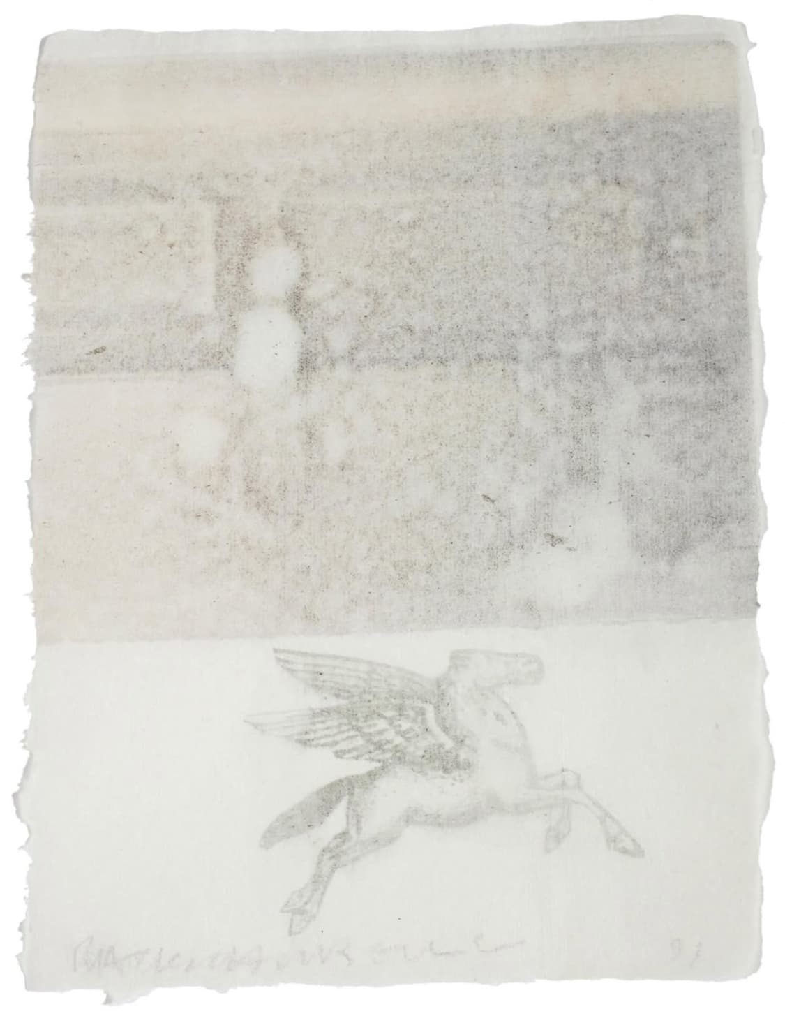 Pompom 상품이미지1