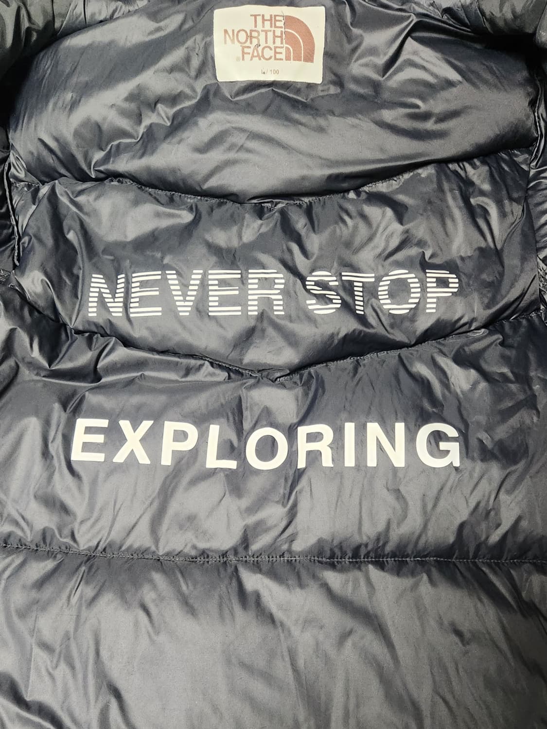 노스페이스 구스롱패딩 L (100-105) 상품이미지4