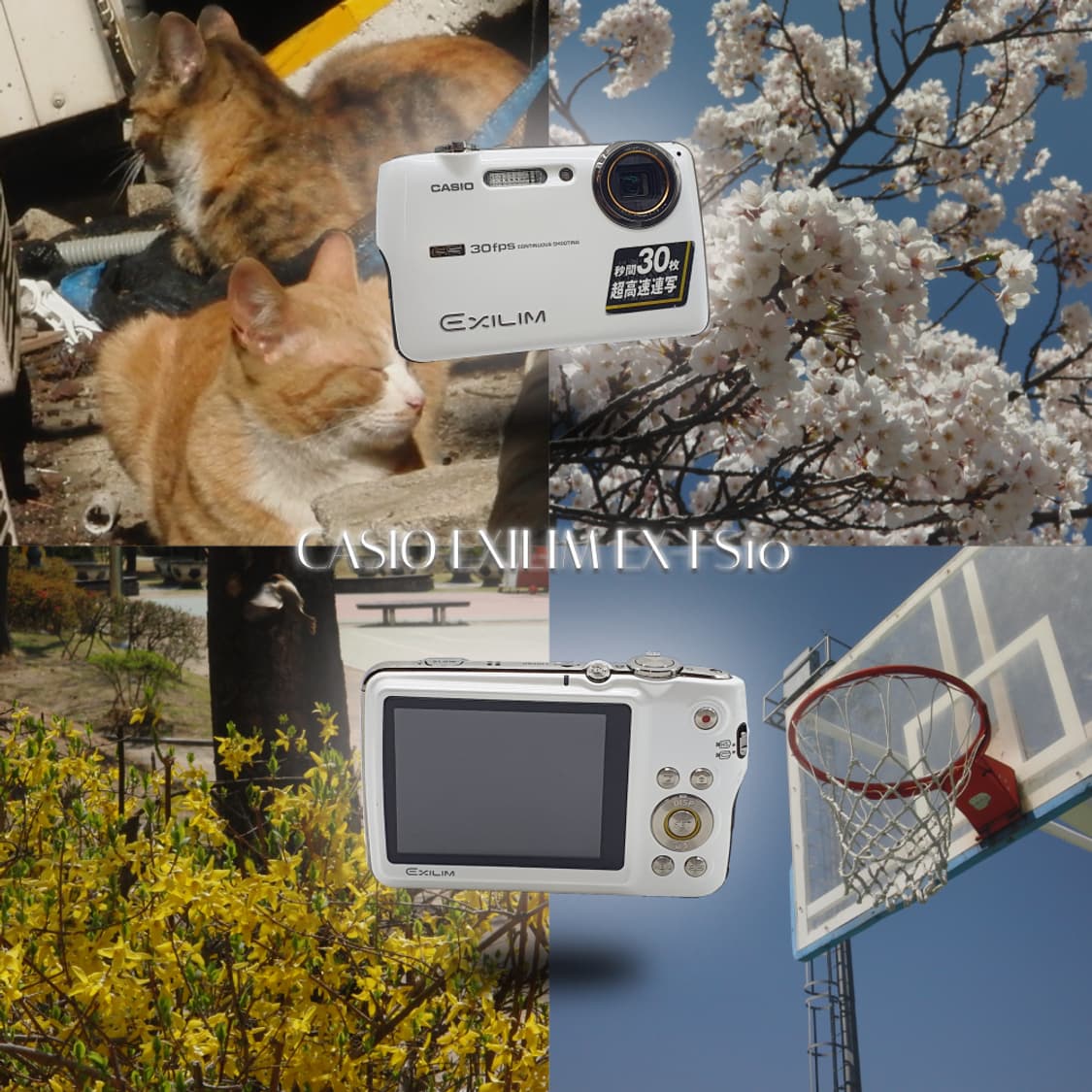 작례⭕️ 카시오 엑슬림 EX-FS10 상품이미지1