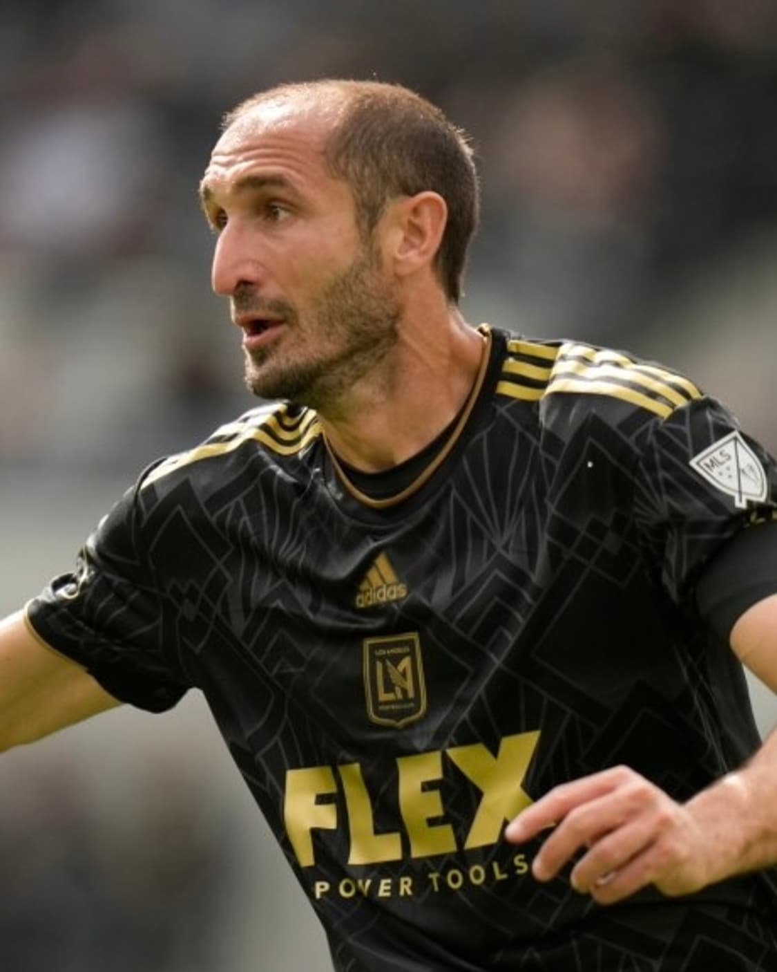 아디다스 22-23 LAFC 홈 조르지오 키엘리니 상품이미지2