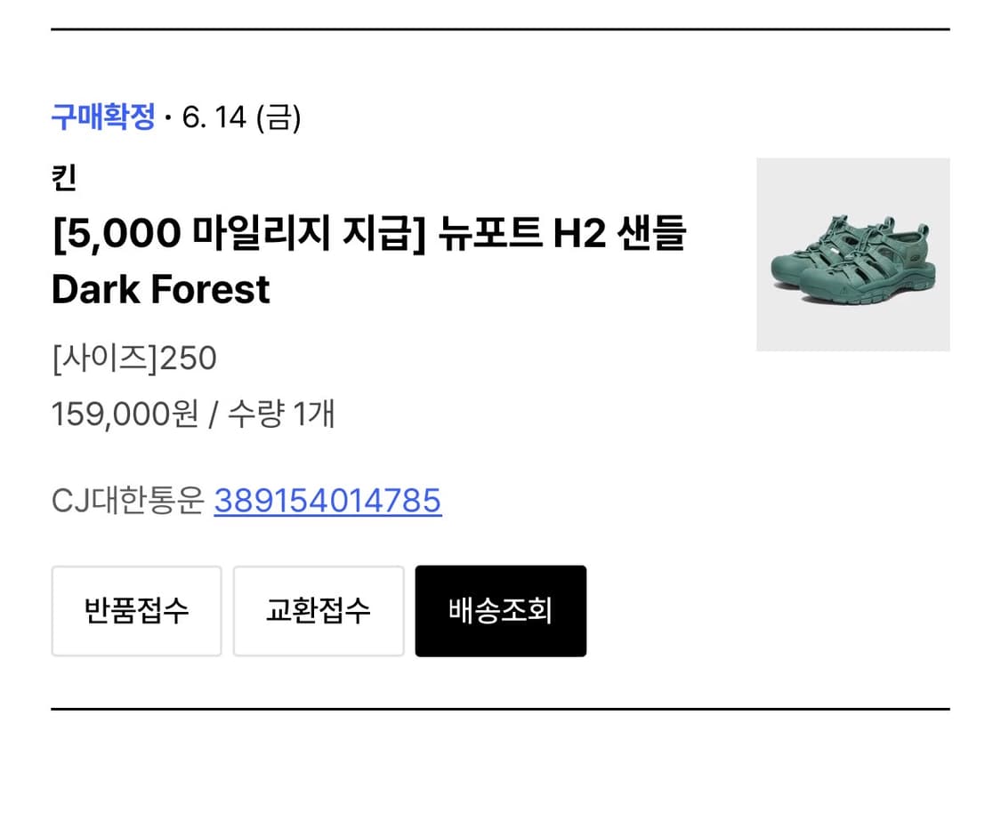 킨 뉴포트 H2 다크포레스트 250 상품이미지6