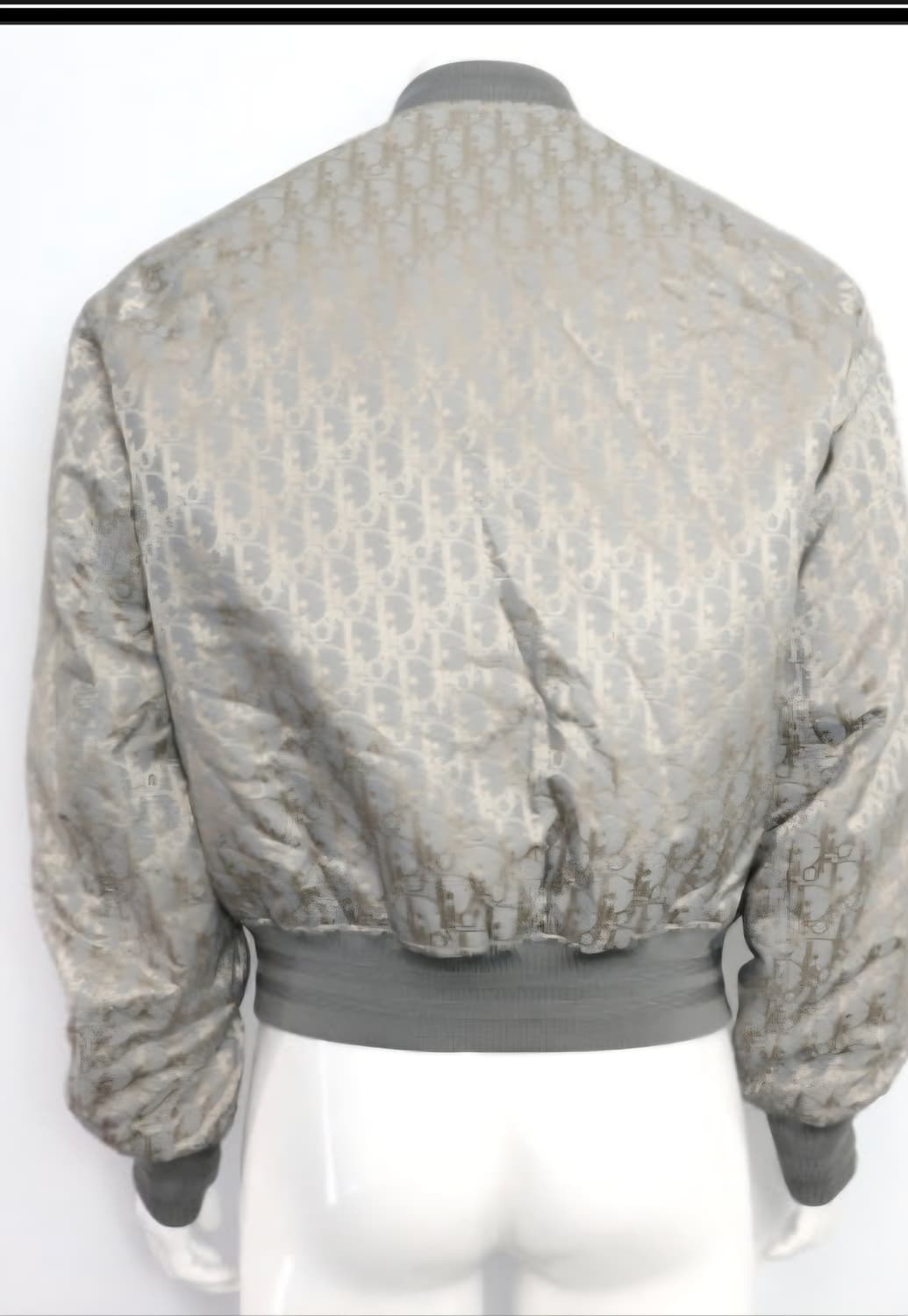 디올 오블리크 봄버 상품이미지2