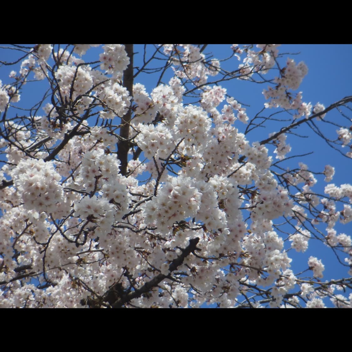 작례⭕️ 리코 PX 상품이미지9