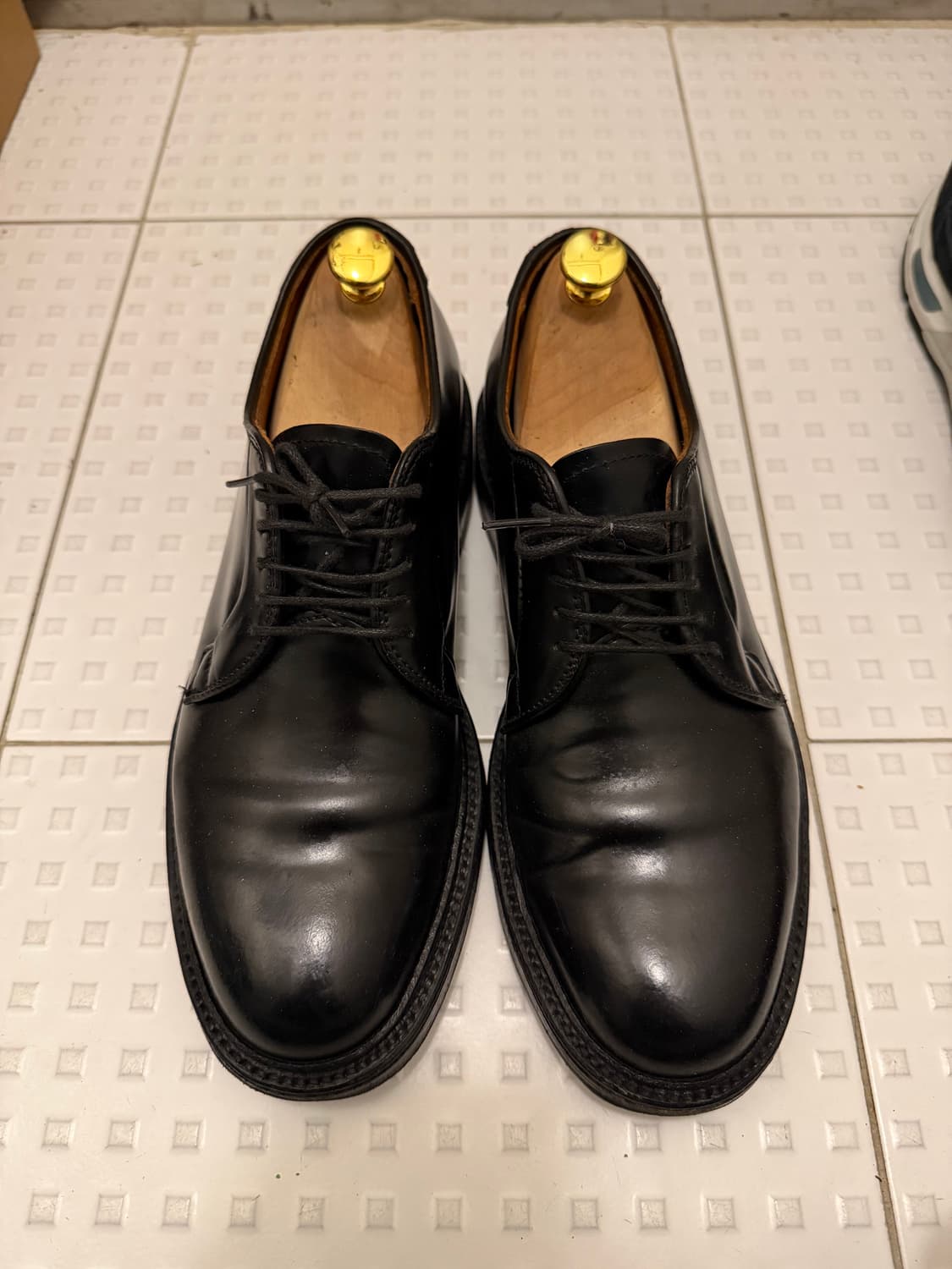 알든 코도반 플레인토 9901 7.5D 255-2600 상품이미지1