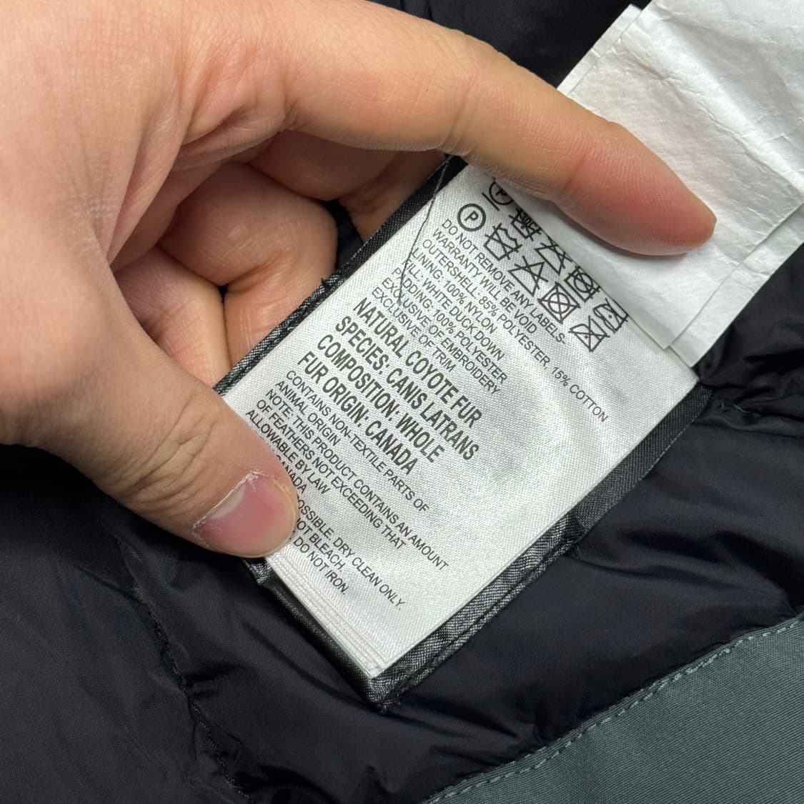 캐나다구스 슬레이트 랭포드 XS 상품이미지9