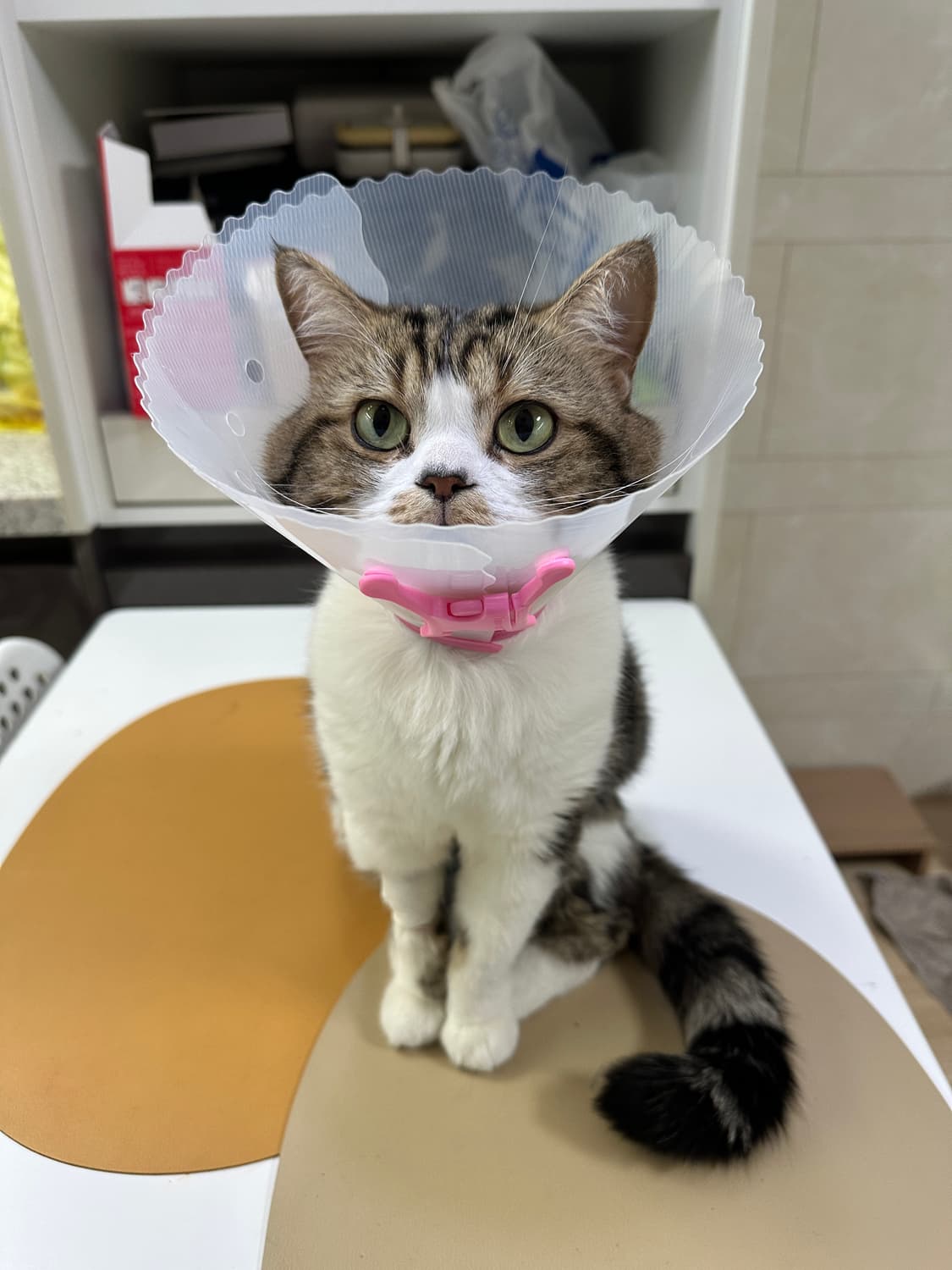 거래창  상품이미지1