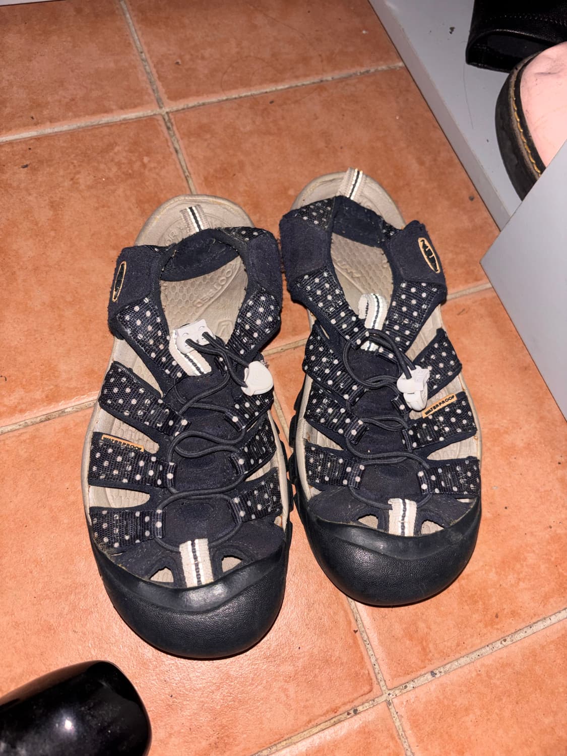 킨 땡땡이 샌들 240 상품이미지1