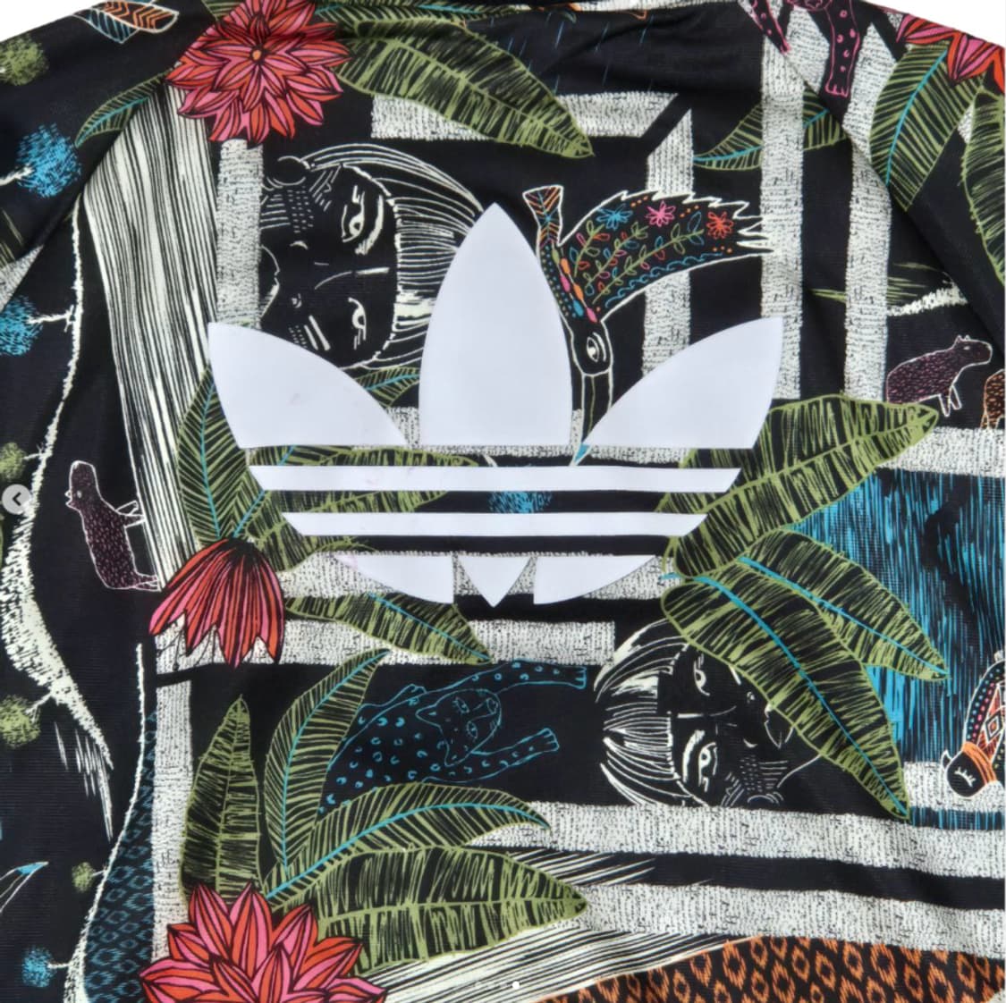 아디다스 유로파 파이어버드 플로럴 그래픽 트랙탑 져지 A064 상품이미지4