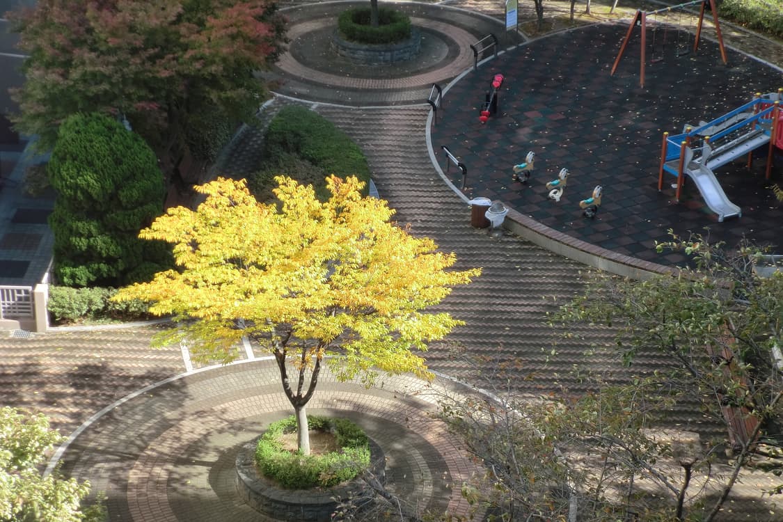 모카 디카) 카시오 엑슬림 z2300 상품이미지8