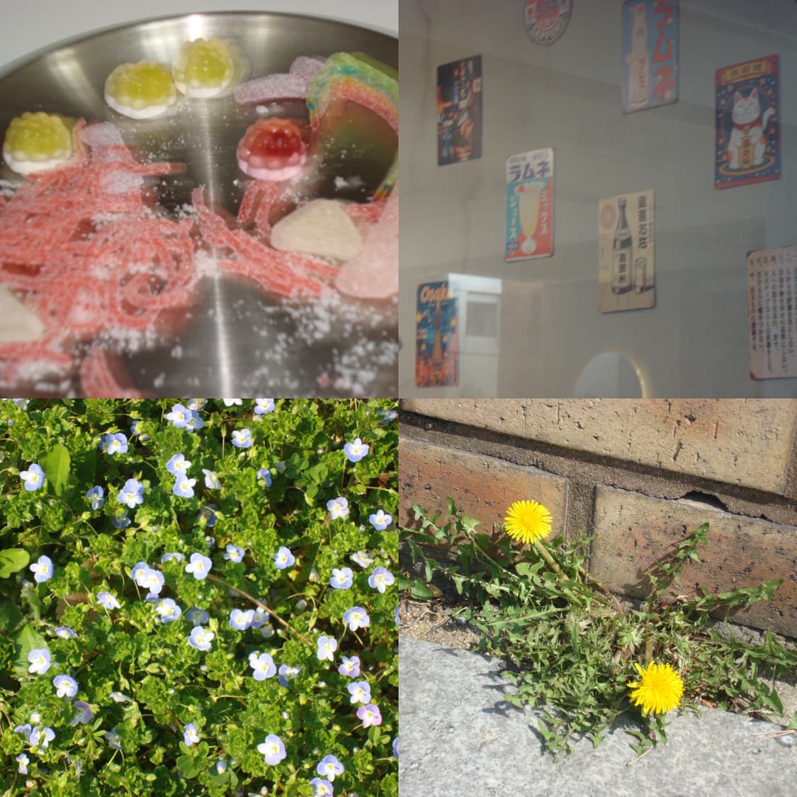 소니 사이버샷 w200 (작례O) 상품이미지6