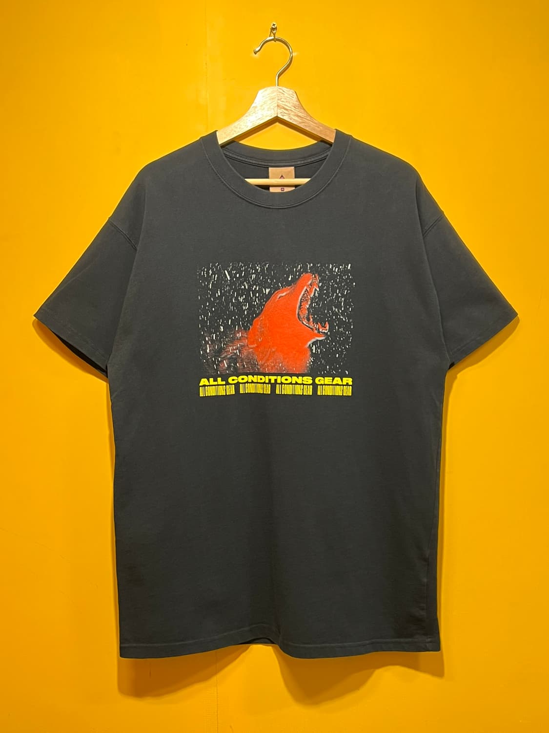 [M] 나이키 ACG 울프 그래픽 반팔 티셔츠 CT4172-010 상품이미지1