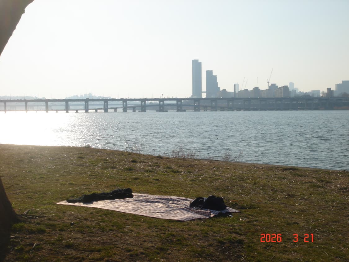 소니 사이버샷 T5 | 작례 O 상품이미지10