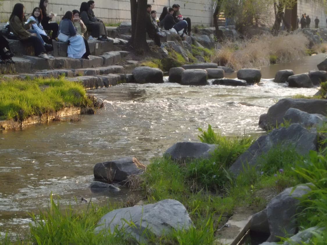 코르티스디카💭카시오 엑슬림 zs5 미품 💕🌷작례O 상품이미지7