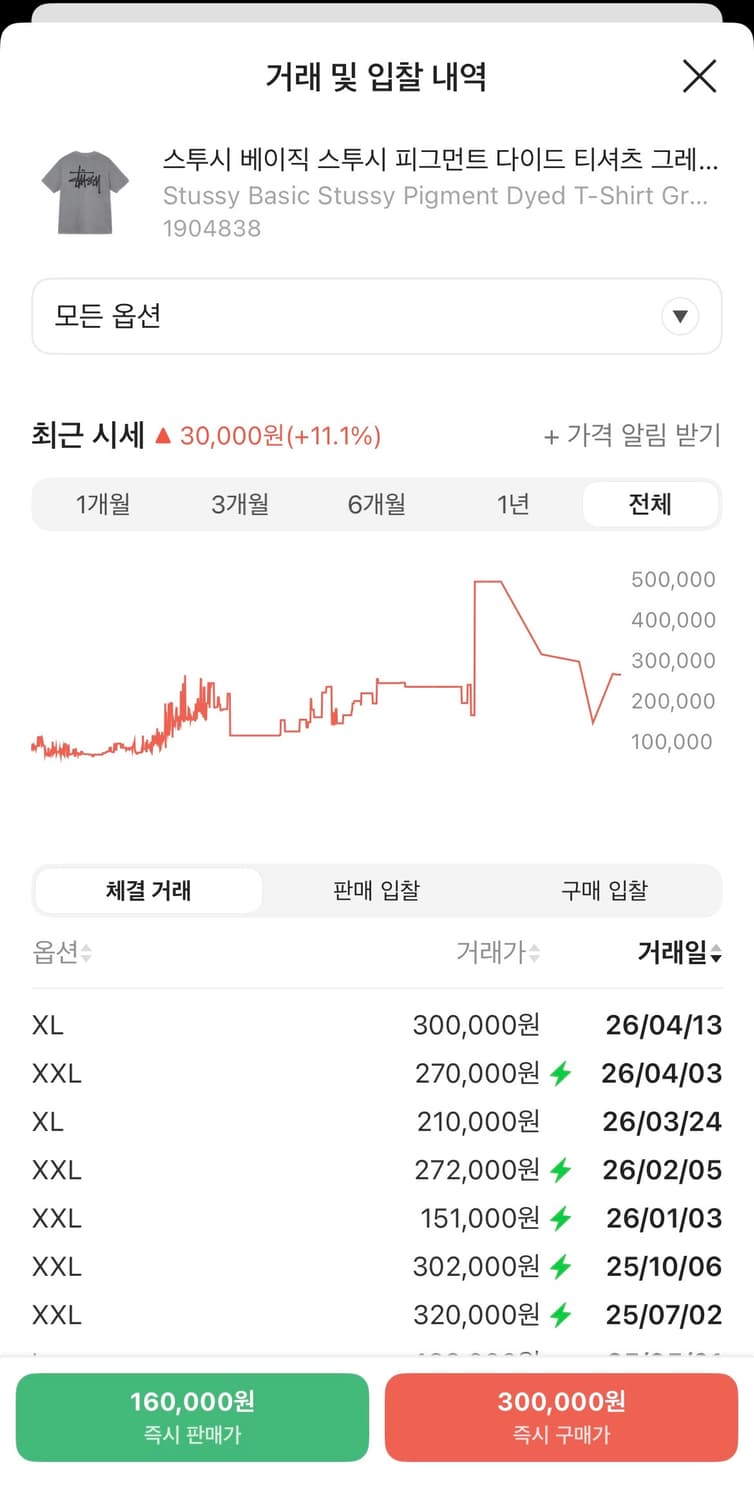 스투시 베이직 스투시 피그먼트 다이드 티셔츠 그레이 2022 상품이미지4