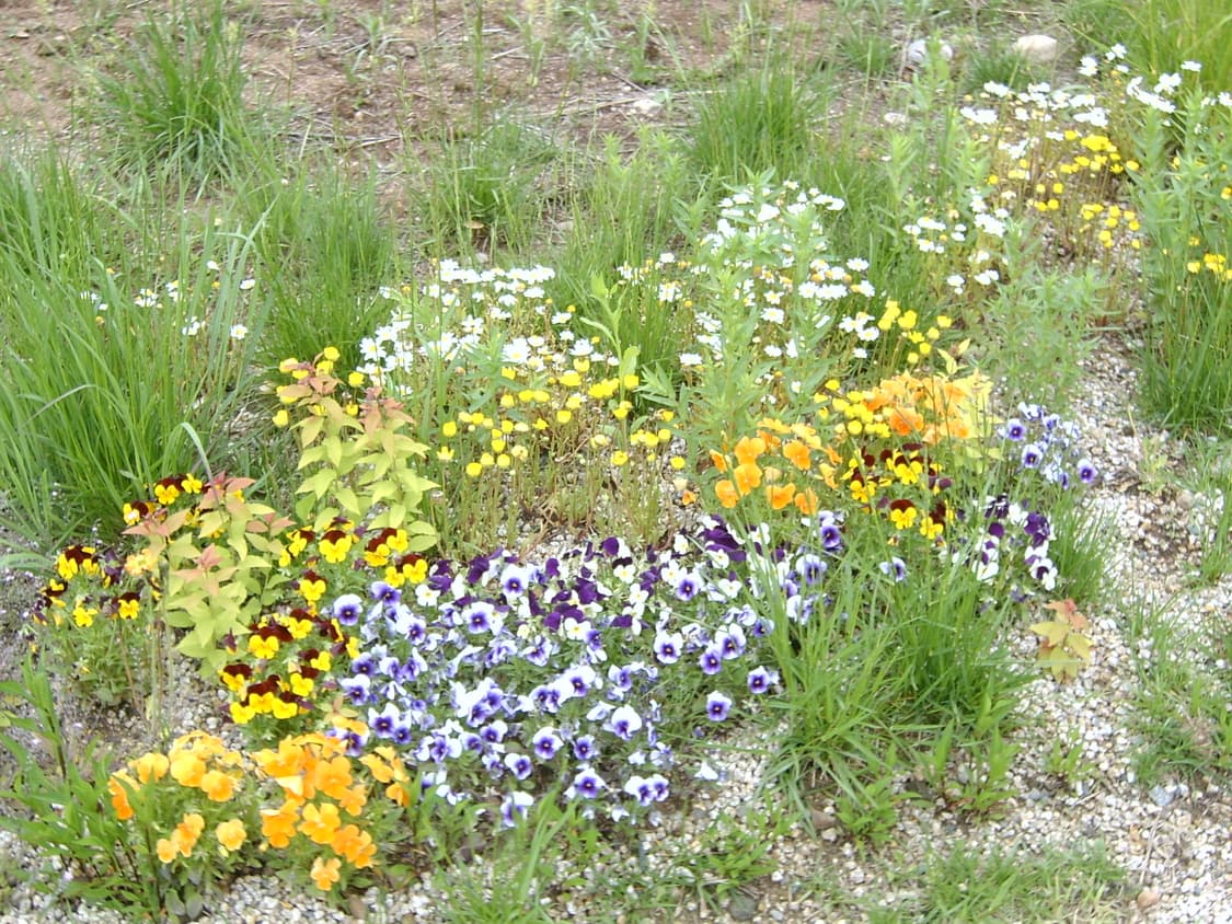 삼성 KENOX Digimax V4 디지털 카메라 상품이미지8