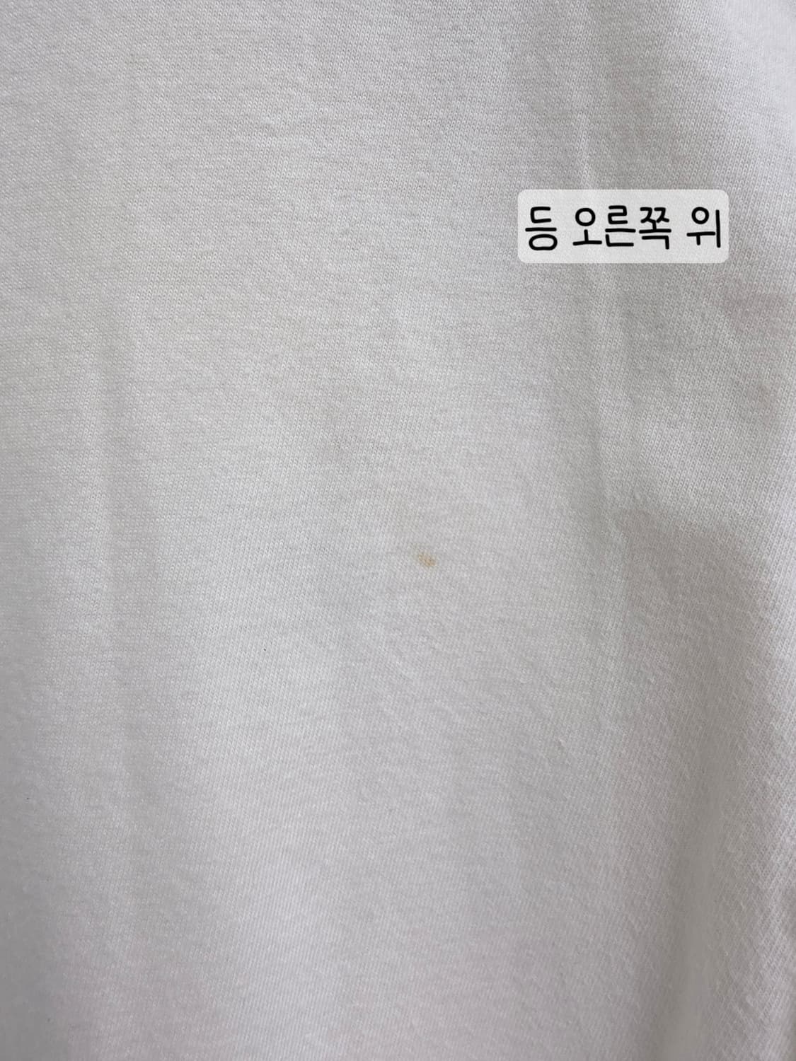 [프립]M/마리떼프랑소와저버 반팔티 아이보리 상품이미지7