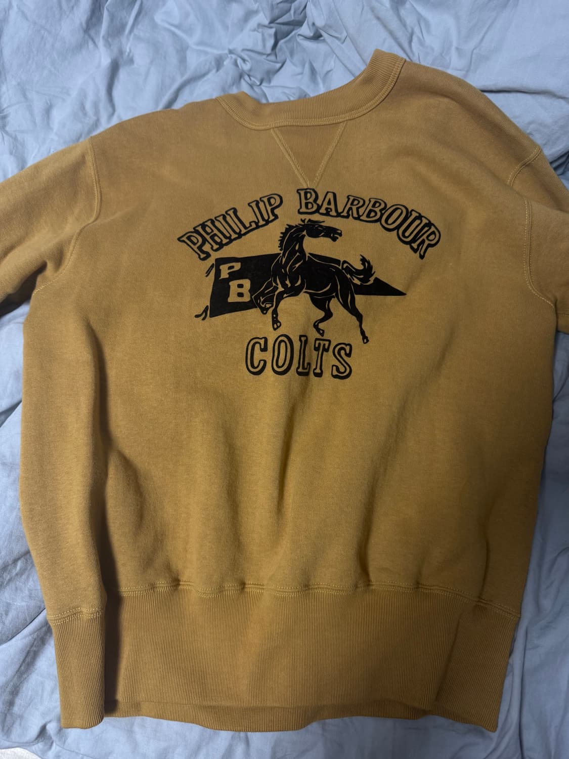 [L]쿠쉬맨 맨투맨 스웻셔츠 머스타드 상품이미지1