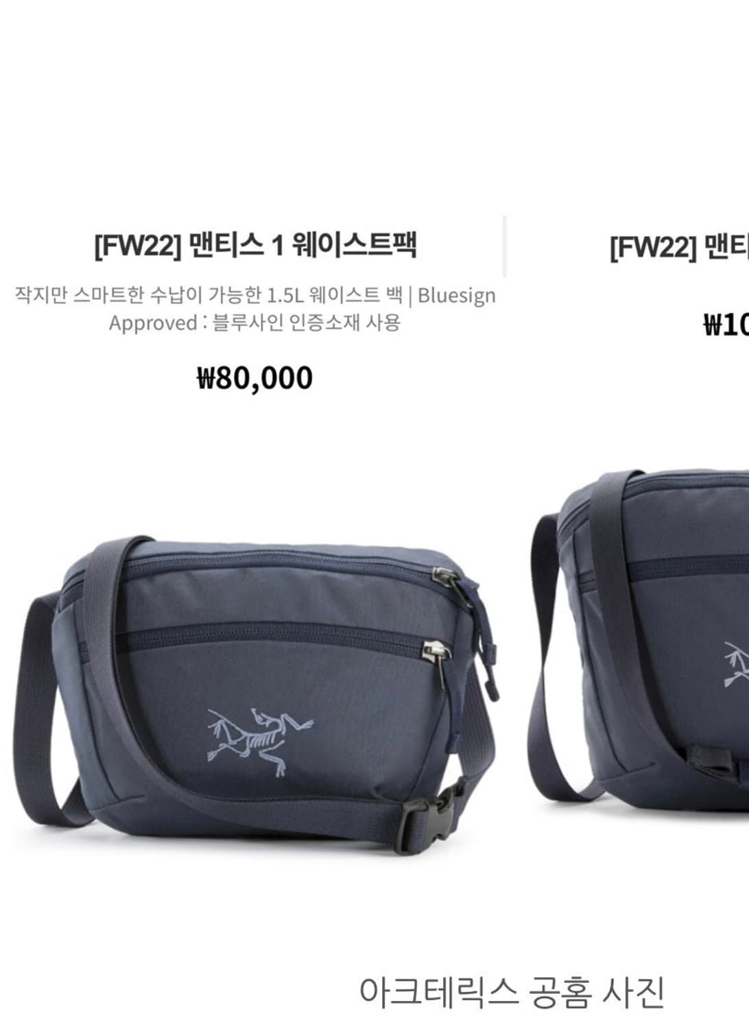 아크테릭스 멘티스 1  상품이미지1