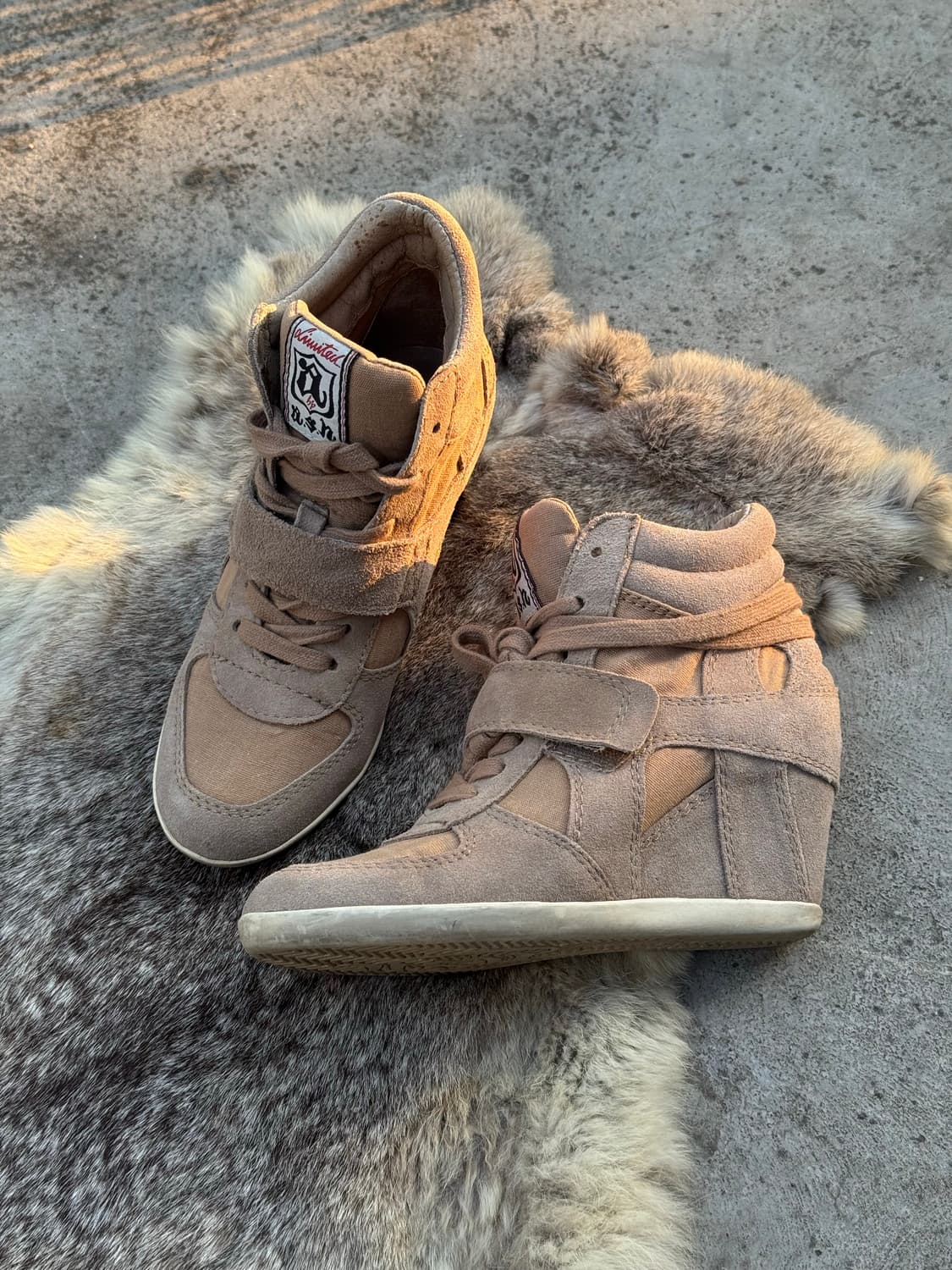 Ash 보위 웨지힐 하이탑 스니커즈  상품이미지1