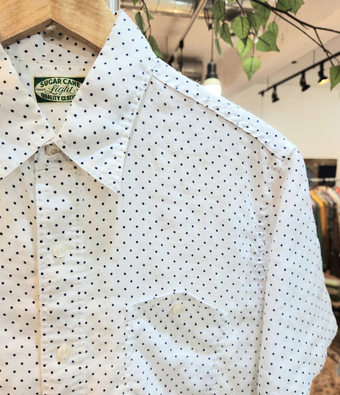 SUGAR CANE 슈가케인 리넨 도트 반팔 셔츠 상품이미지4