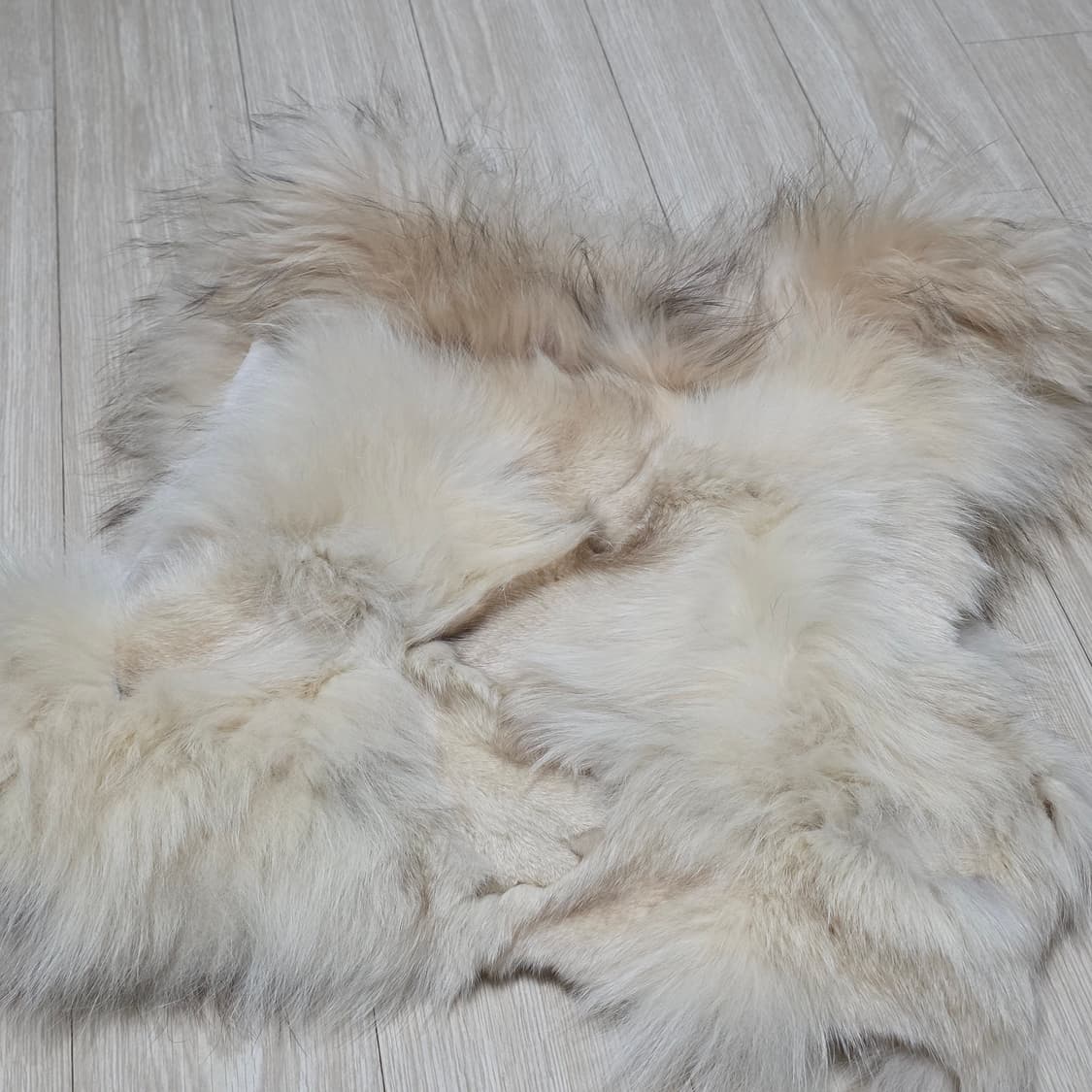 빈티지 라쿤폭스털 퍼베스트 상품이미지3