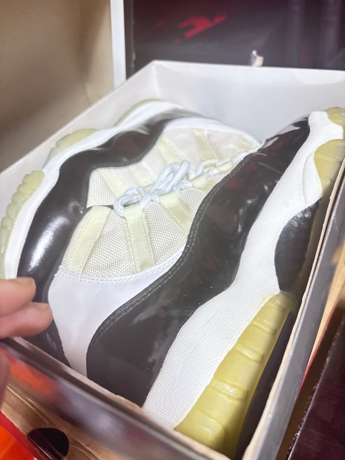 나이키 에어조던 11 콩코드 원판 신품 상품이미지3