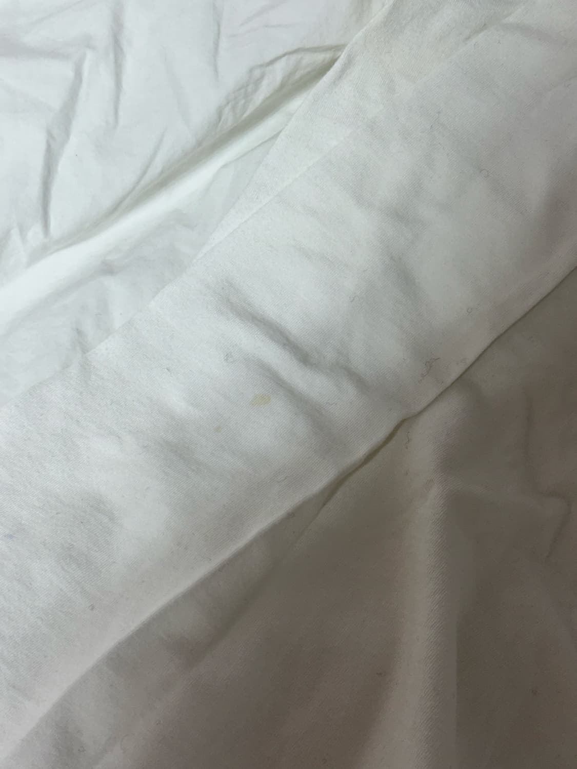알렉산더 맥퀸 여성 반팔 상품이미지2