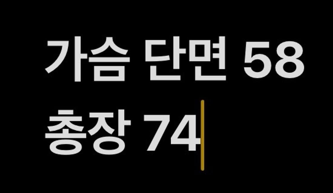 [정품/M] 폴로 랄프로렌 스트라이프 럭비 셔츠 b18 상품이미지9