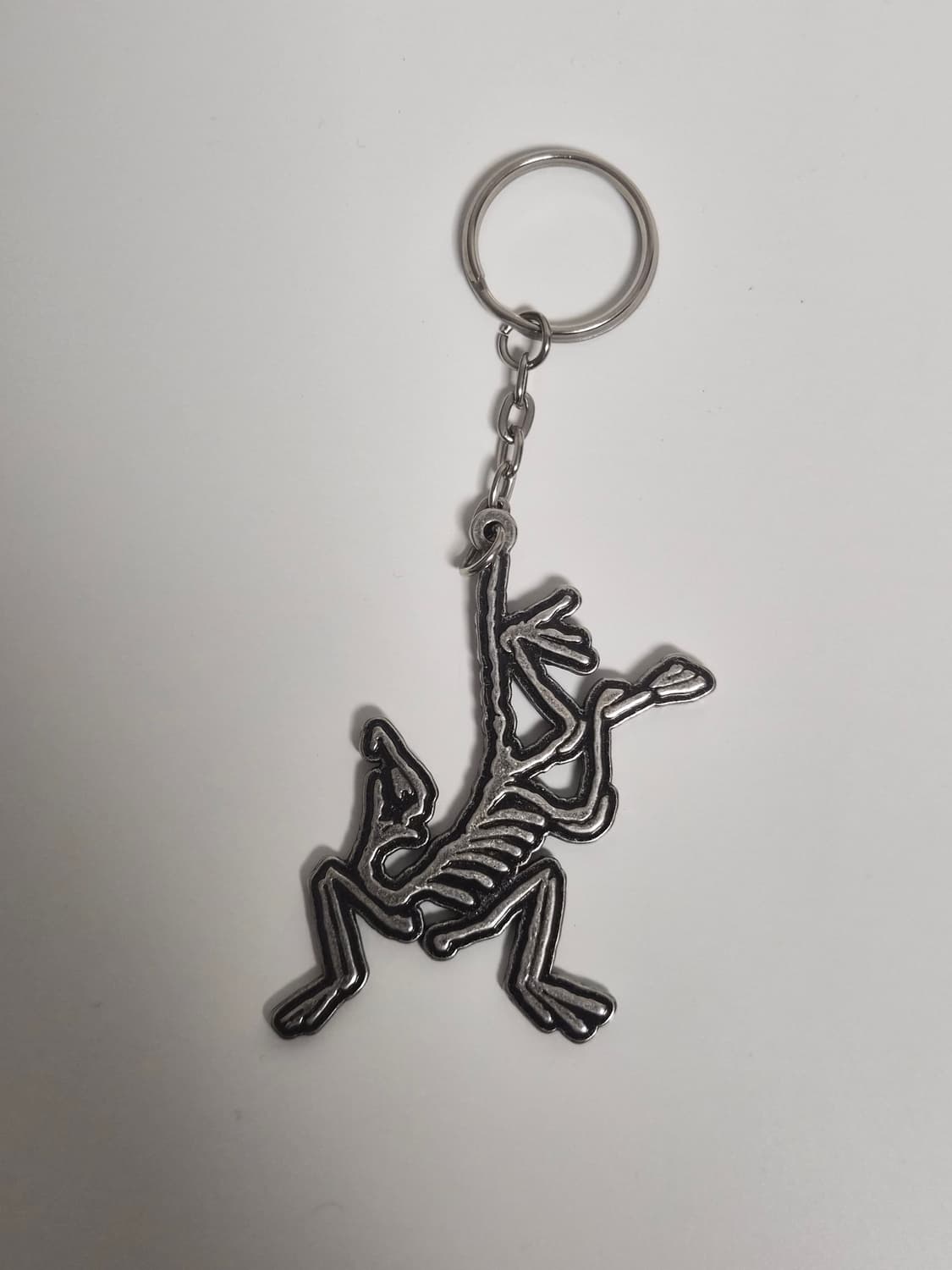 아크테릭스 메탈키링 상품이미지1