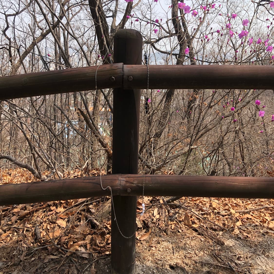 아무것도 아닌 말에 3 🥿  상품이미지4