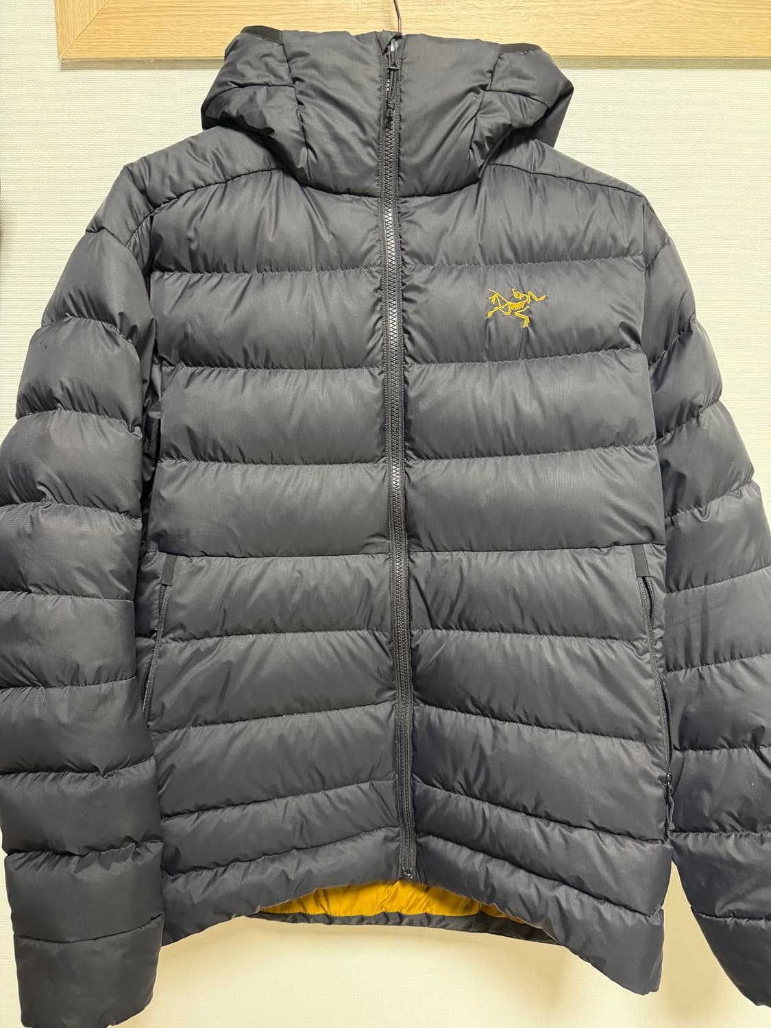 아크테릭스  토튬 AR 후디 L 상품이미지2