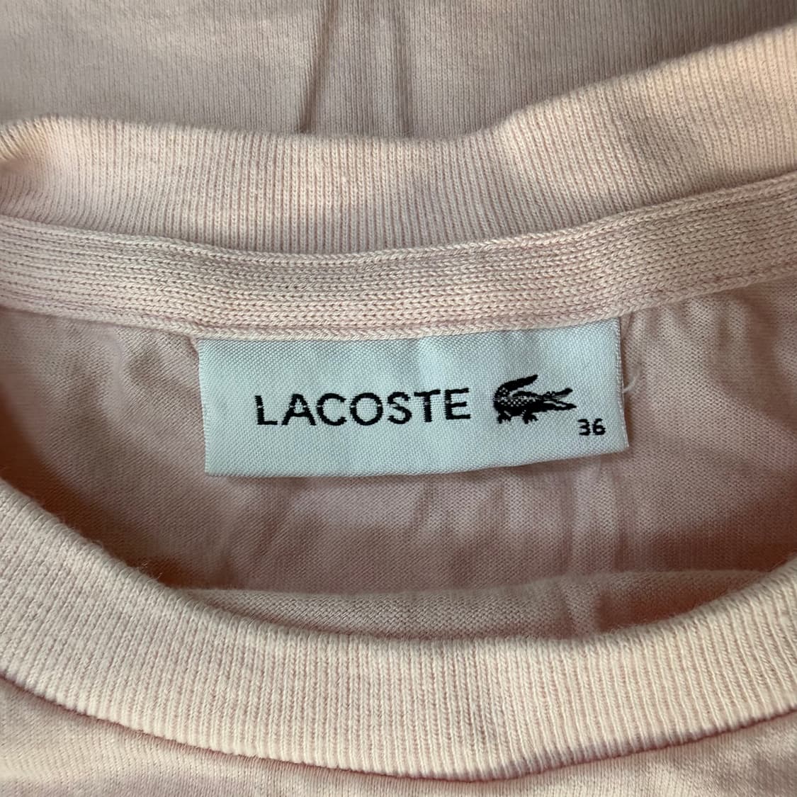 36 라코스테 하트 크록 반팔 티셔츠 0313T 상품이미지3