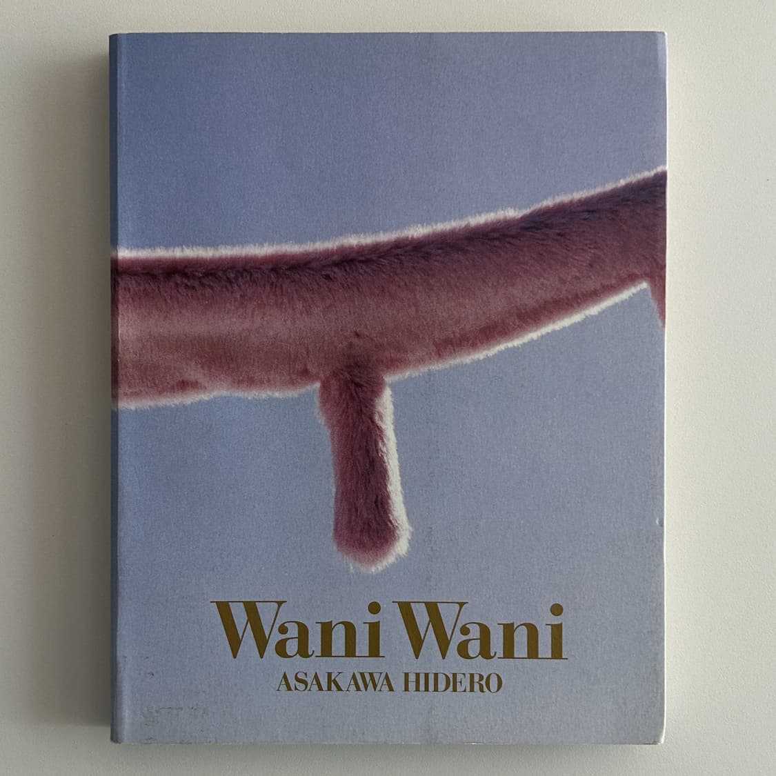 Hidero Asakawa - Wani Wani (2002) 상품이미지1