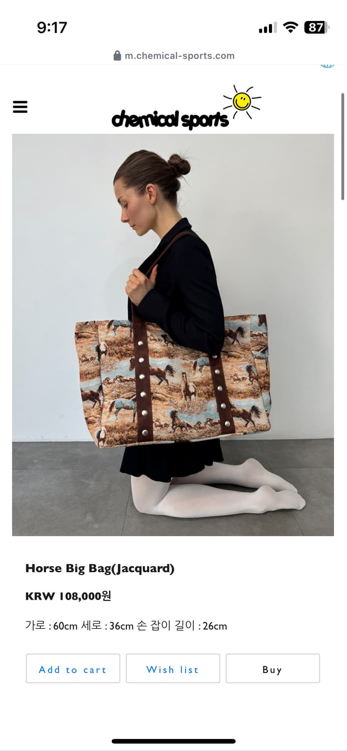 케미컬스포츠 호올스 빅백 상품이미지1