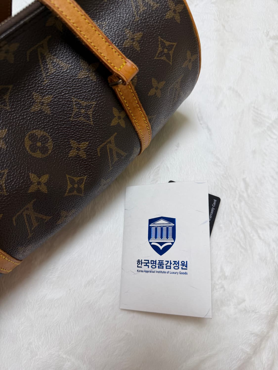 루이비통 빠삐용 상품이미지10