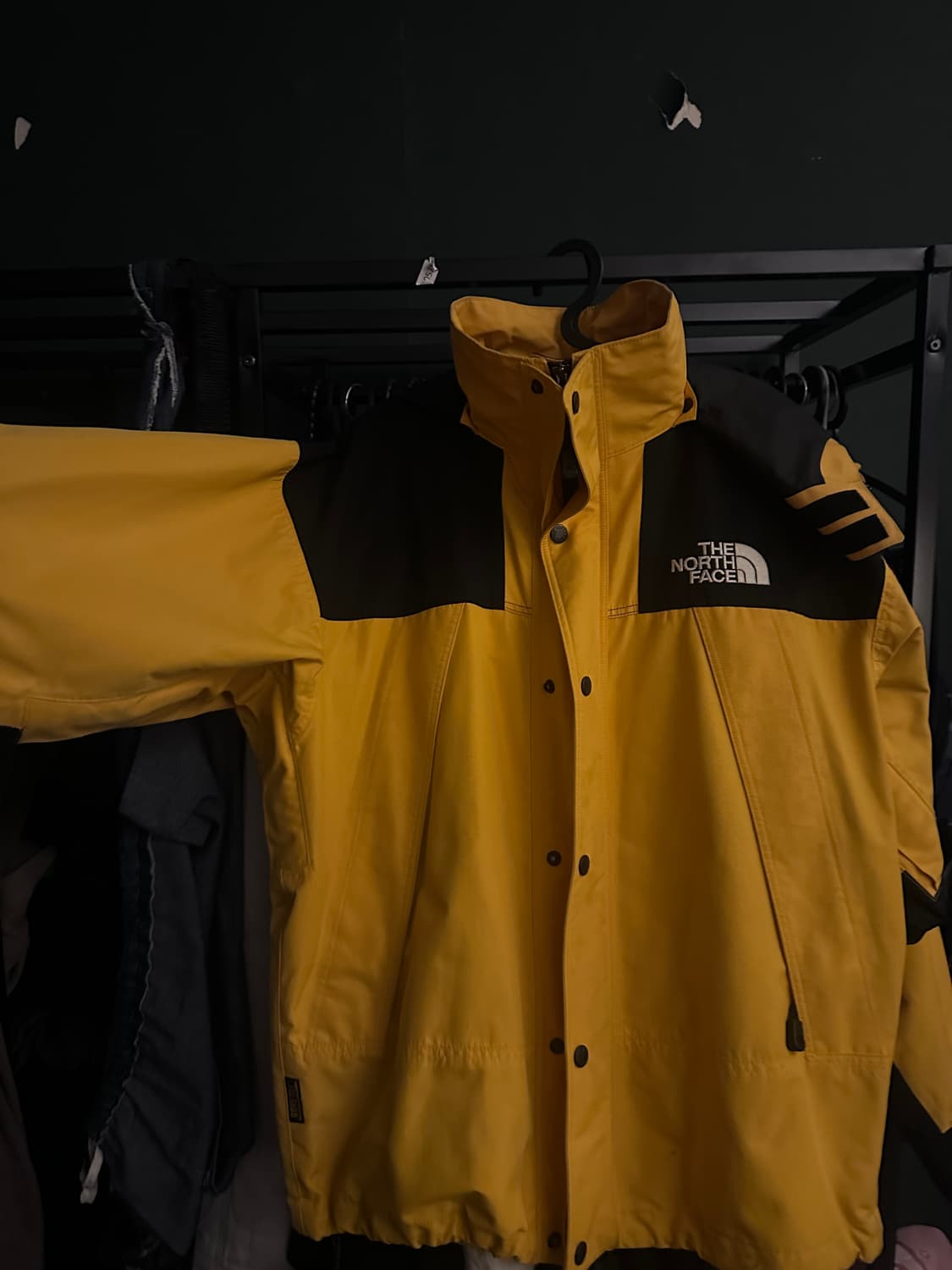 THE NORTH FACE 고어택스 바람막이 상품이미지2
