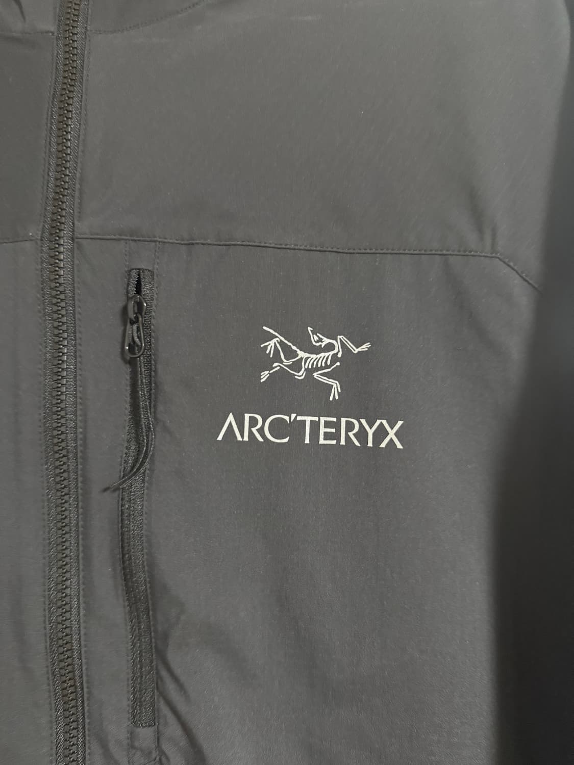 아크테릭스 스쿼미시 후디 블랙 M 상품이미지2