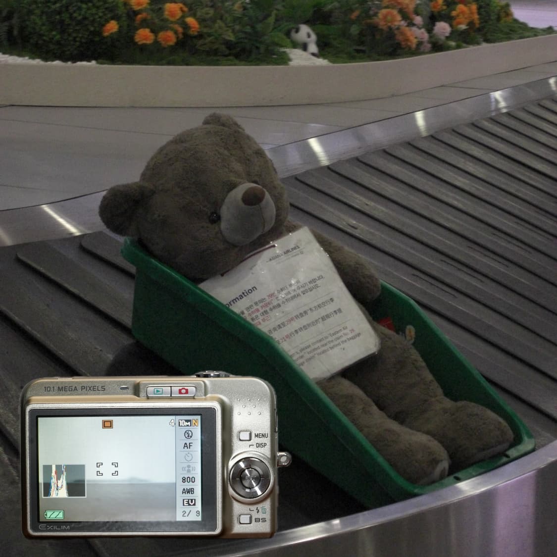 Exilim Z1050(✨민트급/🎁풀패키지) 상품이미지3