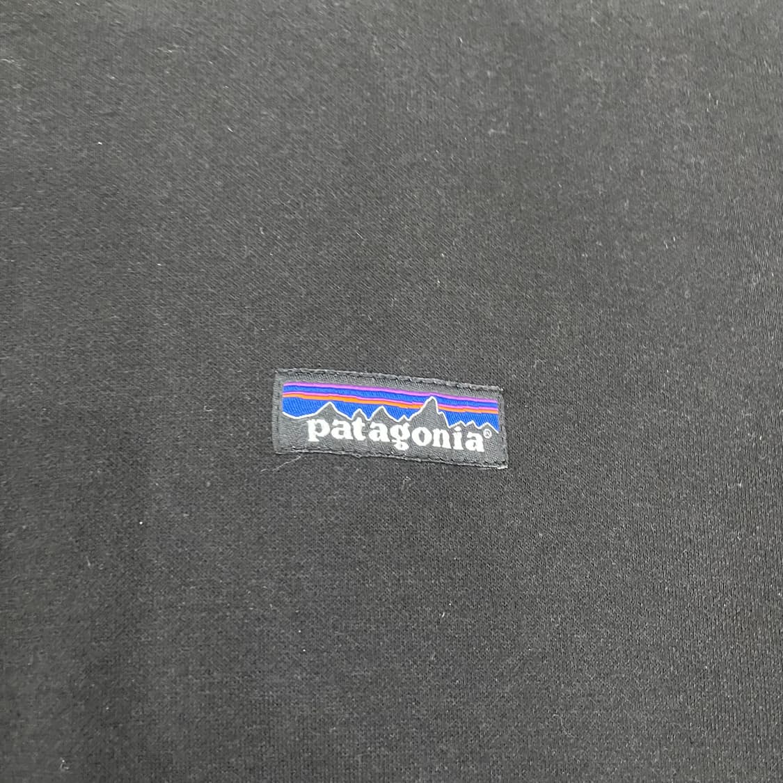 파타고니아 맨투맨 상품이미지3