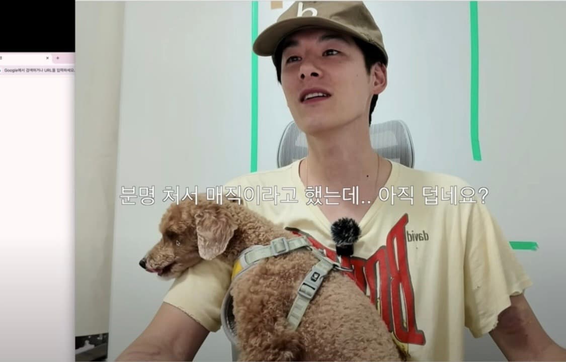 테프스토어즈 캡 상품이미지2