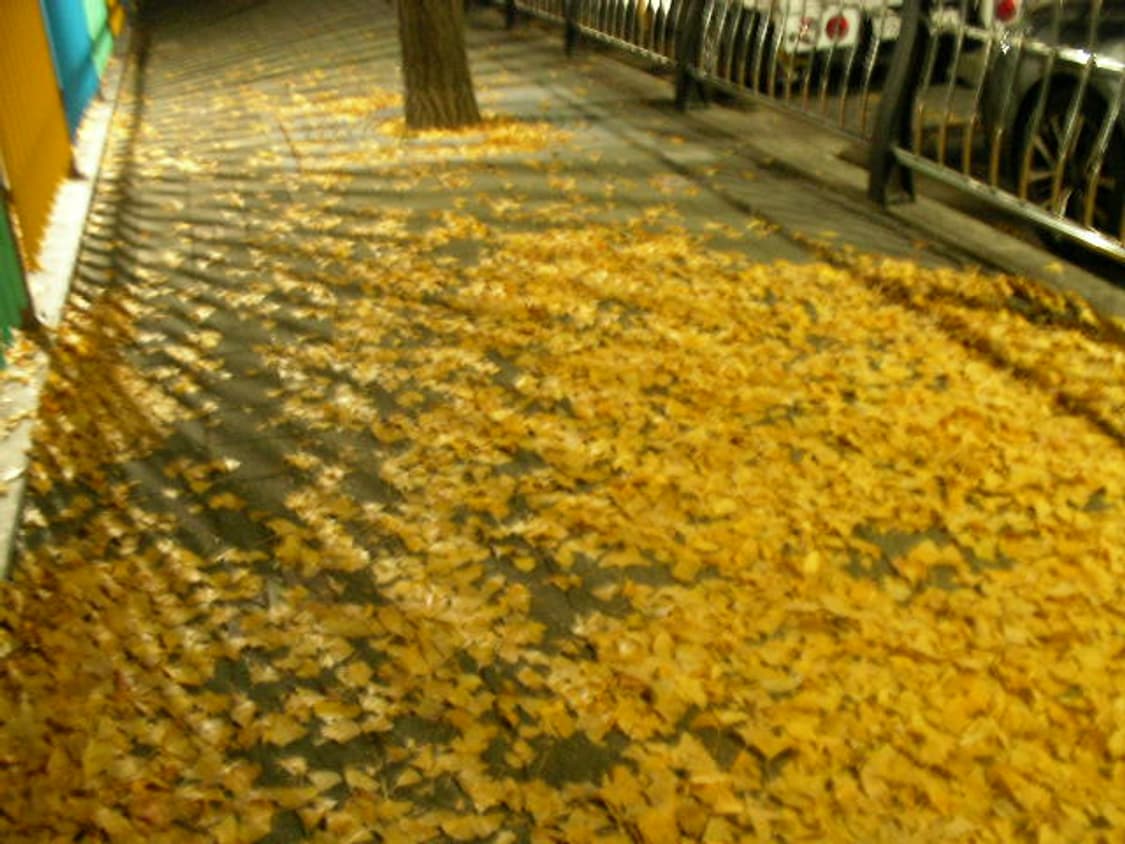 산요작티 c4/풀구성/정품충전기/작례포함 상품이미지8