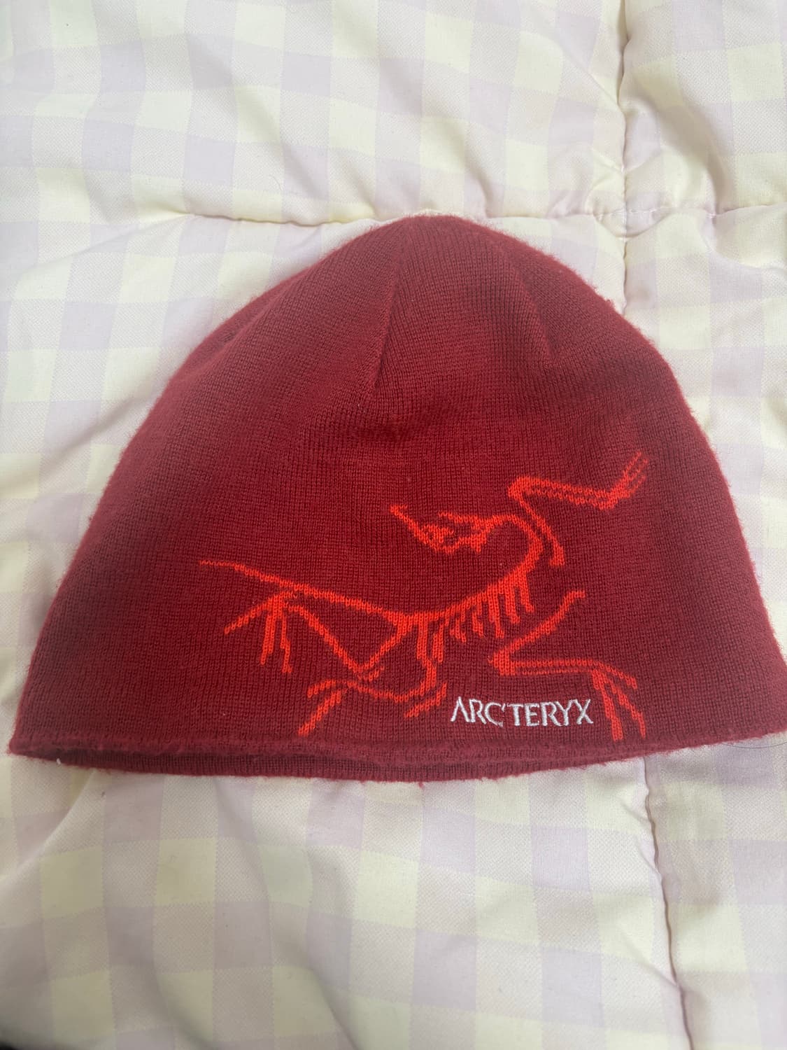 아크테릭스 버드 헤드 토크 비니 상품이미지1