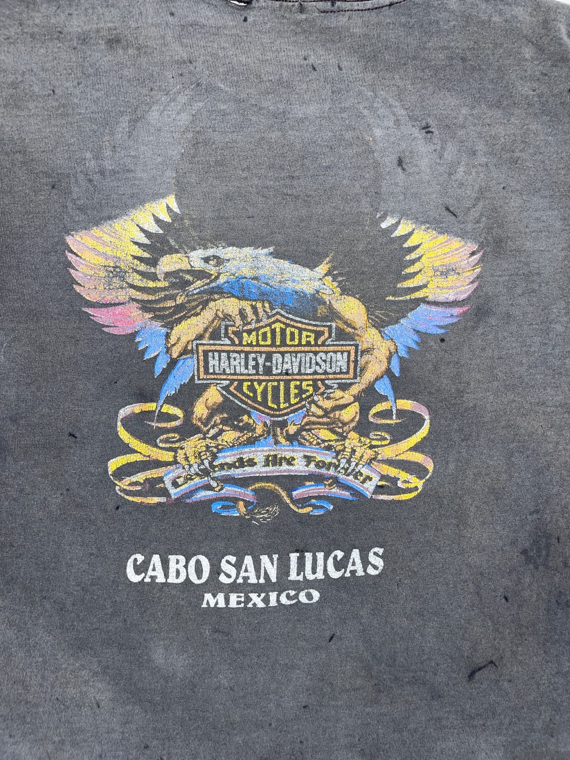 Harley Davidson Cabo San Lucas Mexico  상품이미지5