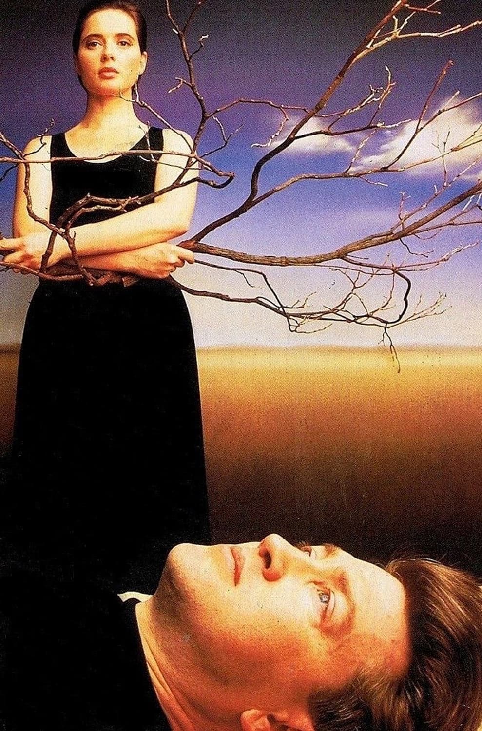 L) I MISS DAVID LYNCH 상품이미지6