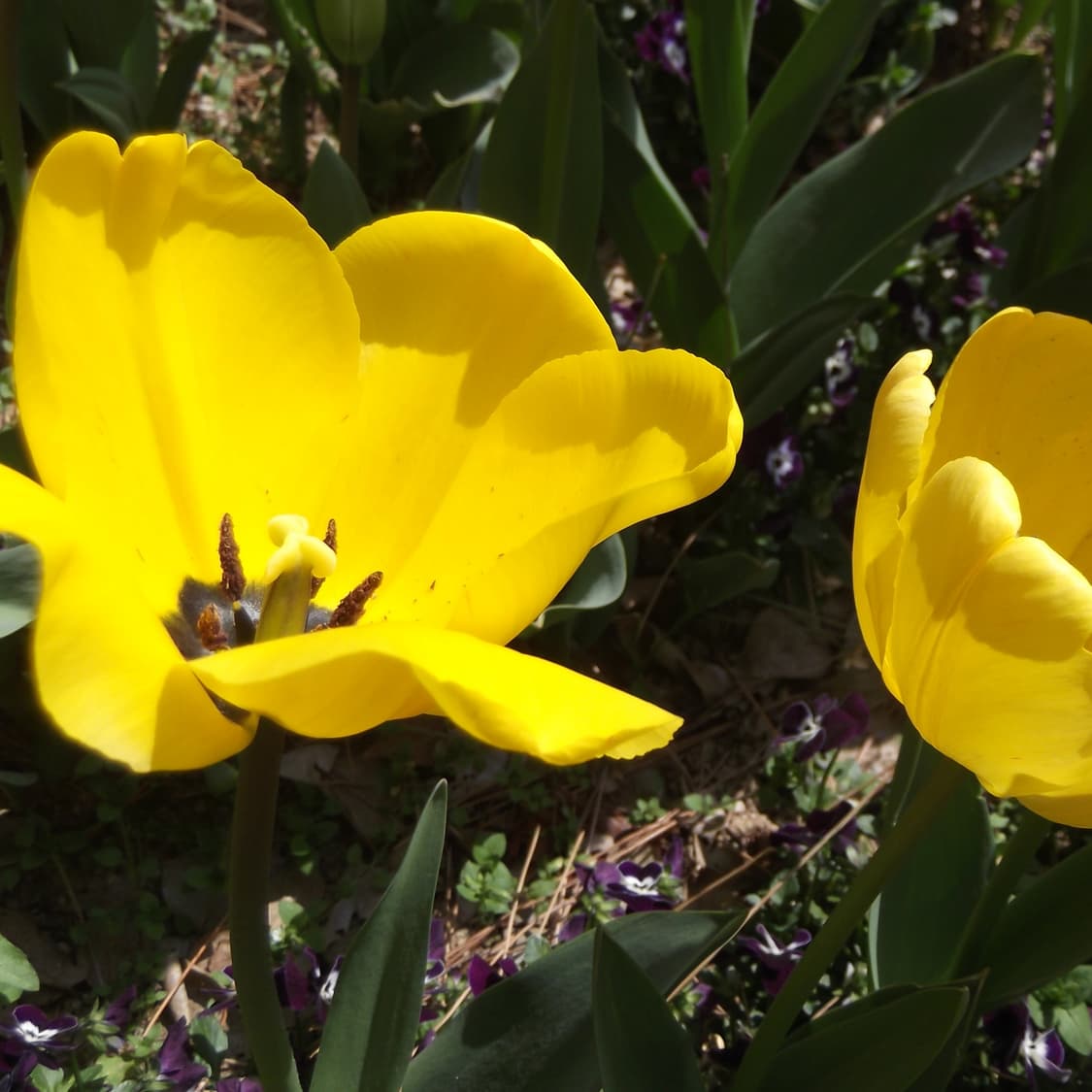 후지필름 파인픽스 T300 풀박스(작례o) 상품이미지9