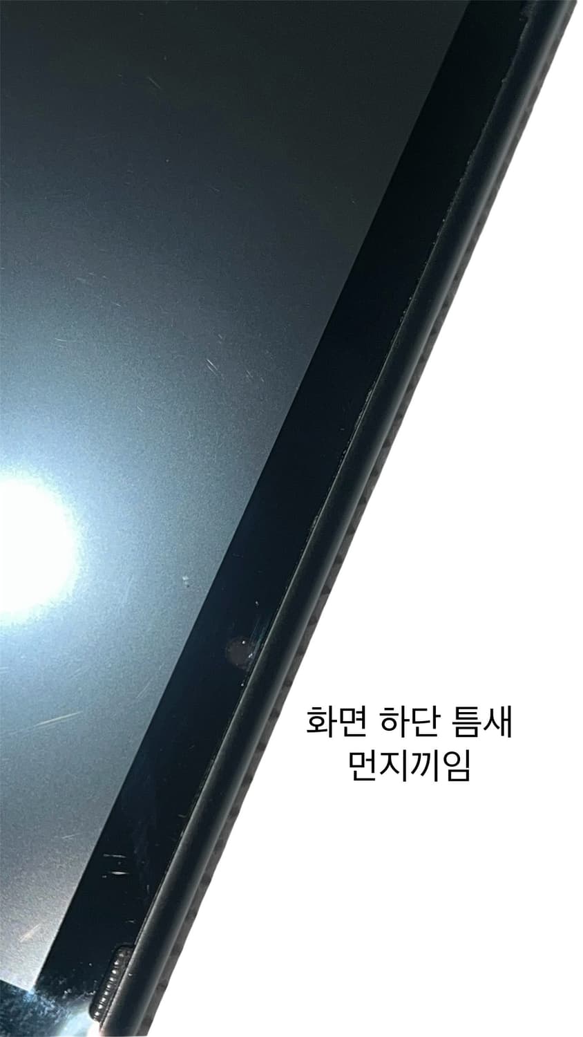닌텐도 스위치 모동숲 에디션 동물의숲 아미보카드 포함 상품이미지5